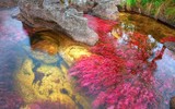 Chiêm ngưỡng những dòng sông huyền bí nhất thế giới