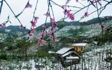[ẢNH]: Ghé thăm những 