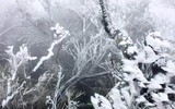 [ẢNH]: Ghé thăm những 