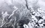 [ẢNH]: Ghé thăm những 