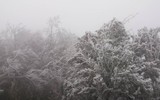 [ẢNH]: Ghé thăm những 