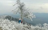 [ẢNH]: Ghé thăm những 