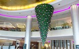 [ẢNH] Việt Nam cũng sở hữu những cây thông độc lạ 