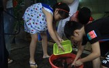 [ẢNH] Bi hài cảnh tượng: Đua thuyền, giăng lưới bắt cá ngay giữa thành phố Đà Nẵng