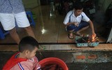 [ẢNH] Bi hài cảnh tượng: Đua thuyền, giăng lưới bắt cá ngay giữa thành phố Đà Nẵng