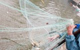 [ẢNH] Bi hài cảnh tượng: Đua thuyền, giăng lưới bắt cá ngay giữa thành phố Đà Nẵng