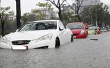 [ẢNH] Dàn xế hộp tiền tỷ 