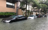 [ẢNH] Dàn xế hộp tiền tỷ 