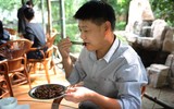 Mục sở thị các trại nuôi hàng tỷ con gián bằng thức ăn thừa ở Trung Quốc
