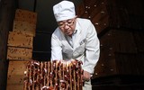 Mục sở thị các trại nuôi hàng tỷ con gián bằng thức ăn thừa ở Trung Quốc