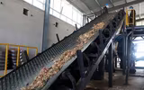 Mục sở thị các trại nuôi hàng tỷ con gián bằng thức ăn thừa ở Trung Quốc