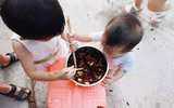 Mục sở thị các trại nuôi hàng tỷ con gián bằng thức ăn thừa ở Trung Quốc