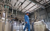 Mục sở thị các trại nuôi hàng tỷ con gián bằng thức ăn thừa ở Trung Quốc