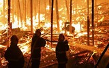 Kinh hoàng 600 ngôi nhà chìm trong biển lửa ở Brazil