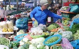 [Ảnh] Cảnh báo nguy cơ mất an toàn thực phẩm dịp Tết và Lễ hội đầu xuân 2019