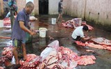 [Ảnh] Cảnh báo nguy cơ mất an toàn thực phẩm dịp Tết và Lễ hội đầu xuân 2019