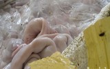[Ảnh] Cảnh báo nguy cơ mất an toàn thực phẩm dịp Tết và Lễ hội đầu xuân 2019