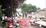 [Ảnh] Chưa đến Tết, thực phẩm bẩn lại tìm đường len lỏi vào thành phố, các khu dân cư