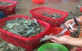 [Ảnh] Chưa đến Tết, thực phẩm bẩn lại tìm đường len lỏi vào thành phố, các khu dân cư