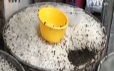 [Ảnh] Chưa đến Tết, thực phẩm bẩn lại tìm đường len lỏi vào thành phố, các khu dân cư