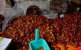 [Ảnh] Chưa đến Tết, thực phẩm bẩn lại tìm đường len lỏi vào thành phố, các khu dân cư