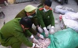 [Ảnh] Chưa đến Tết, thực phẩm bẩn lại tìm đường len lỏi vào thành phố, các khu dân cư