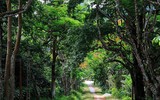 [ẢNH] Nghỉ Tết dương 