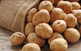 [ẢNH] Mẹo để thực phẩm Tết mua về không phí tiền vì hỏng (1): Rau - củ - quả