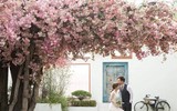 [ẢNH] Hé lộ hình ảnh hiếm hoi tại đám cưới của Tiến Đạt và vợ 9X