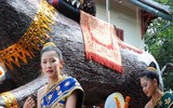 [Ảnh] Quốc gia nào đón giao thừa 2019 sớm - muộn nhất trên thế giới