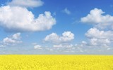[ẢNH] Ai Cập và 15 quốc gia hấp dẫn nhất nhưng cũng nguy hiểm nhất đối với du khách