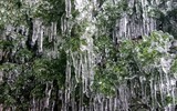 [Ảnh] Băng tuyết phủ trắng xóa ở nơi rét nhất Việt Nam