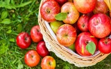 Những thực phẩm hàng đầu giúp phòng chống đột quỵ