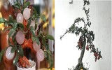 Bonsai trăm triệu vẫn hút đại gia dịp Tết