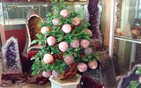Bonsai trăm triệu vẫn hút đại gia dịp Tết
