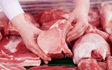 [ẢNH] Lợn dịch hoành hành: Bạn có biết cách chọn thịt lợn tươi ngon, không nhiễm bệnh?