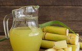 Mẹo giúp bạn giải rượu bia nhanh chóng và hiệu quả trong ngày Tết