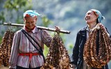 [ẢNH] Đặc sản vùng miền ngon - lạ - sạch 