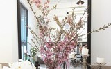 [ẢNH] Đẹp hút hồn hoa ngoại dịp Tết, 