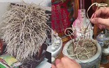 [ẢNH] Những lưu ý khi cúng ông Công, ông Táo đúng cách