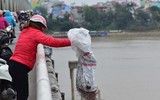 [ẢNH] Phản cảm hình ảnh 