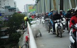 [ẢNH] Phản cảm hình ảnh 