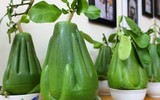 [ẢNH] Lạ mắt trái cây Tết mang ngoại hình 