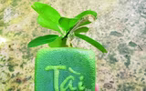 [ẢNH] Lạ mắt trái cây Tết mang ngoại hình 