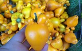 [ẢNH] Sính của lạ, dân Thủ đô mua nhầm cả 
