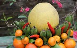 [ẢNH] Mâm ngũ quả ngày Tết 