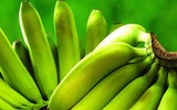 [ẢNH] Mâm ngũ quả ngày Tết 