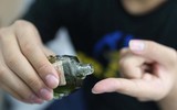 [ẢNH] Mẹo chống say tàu xe không cần dùng thuốc cho người về quê, đi chơi xa trong dịp Tết