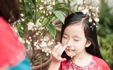 [ẢNH] Dinh dưỡng ngày Tết cho trẻ: Mẹ cực nhàn với những bí quyết 
