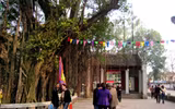 [ẢNH] Du Xuân đầu năm không thể bỏ qua 